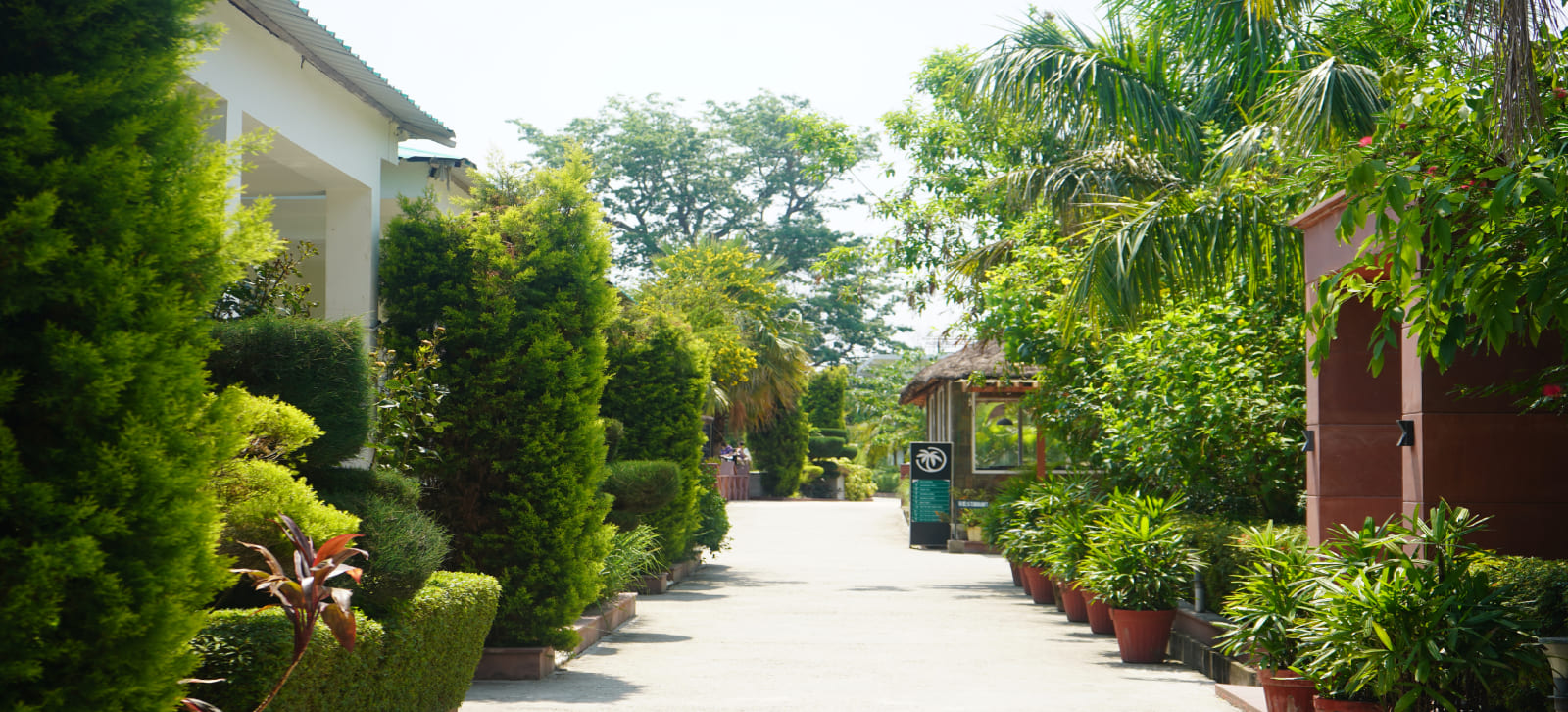 Palms Grove Resort & Spa Corbett